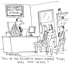 Probate-Cartoon