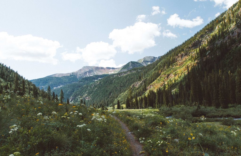 The R & D Group - Hikes in the Lower Mainland