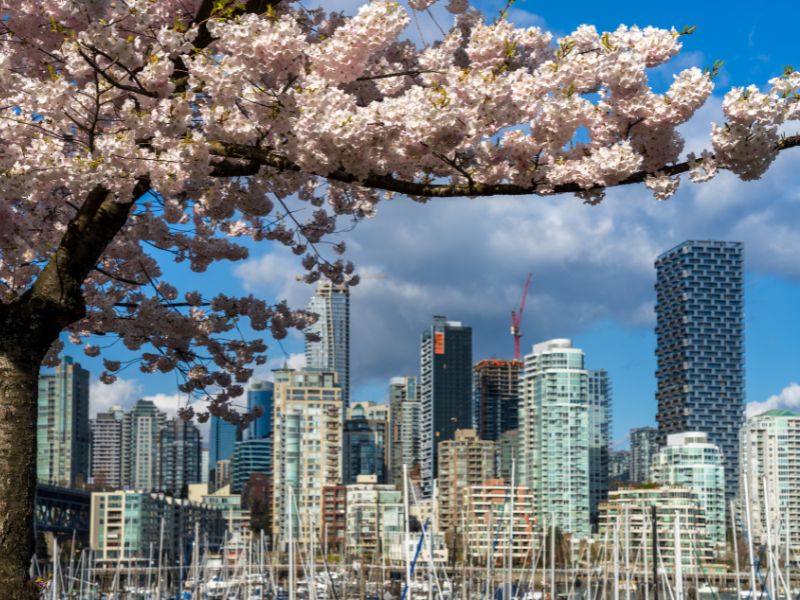 buying vs. renting in Vancouver