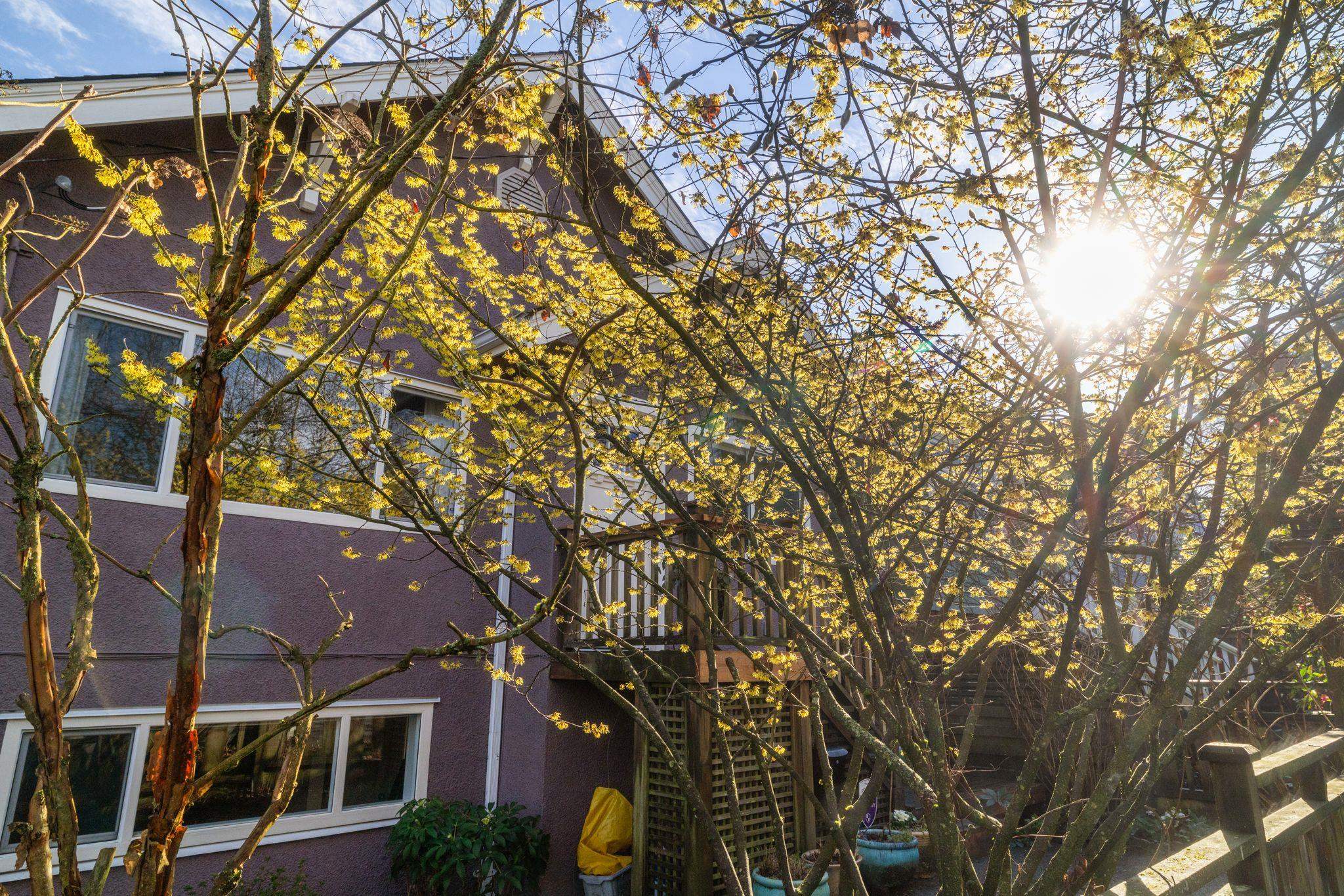 936 Semlin Drive Vancouver, BC - 31