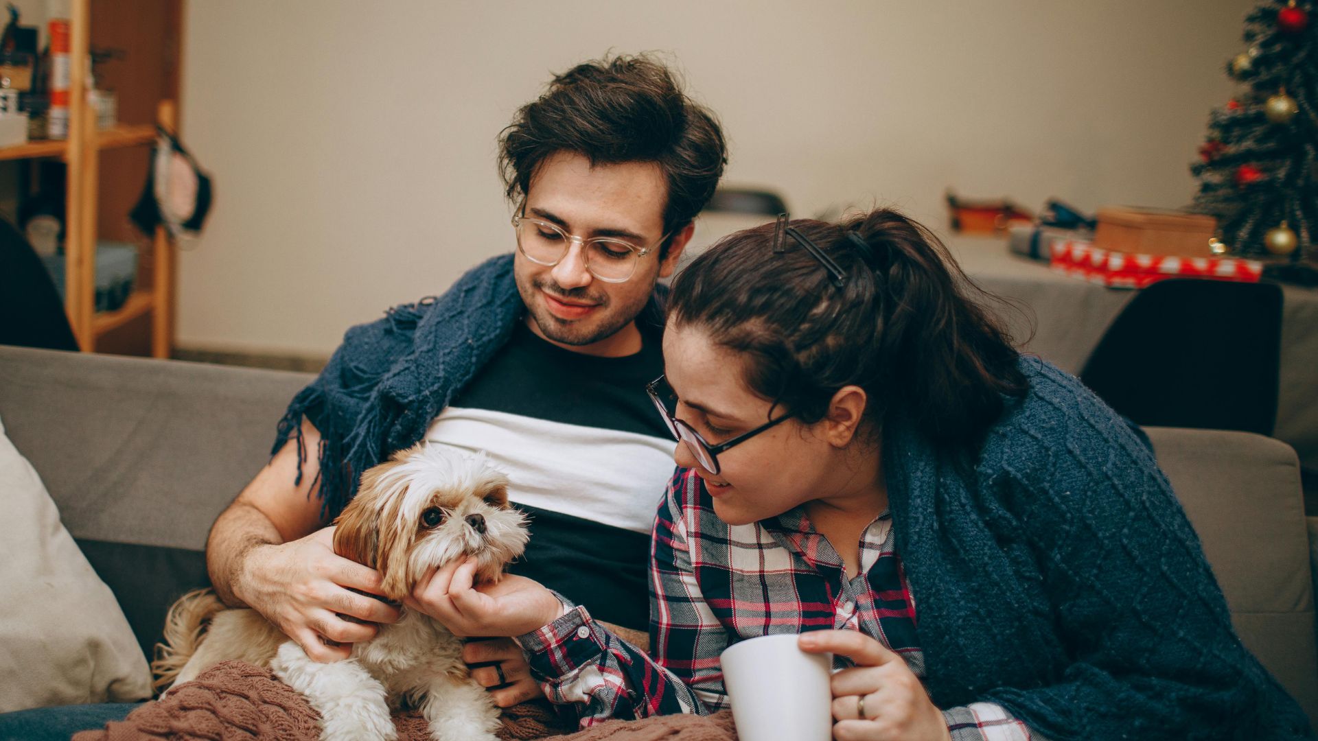 Best Pet-Friendly Buildings and Neighborhoods in Vancouver for Dog Owners
